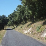 TERRAIN non constructible 