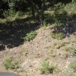 TERRAIN non constructible 