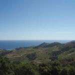 TERRAIN non constructible 