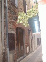 Collioure,