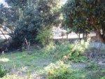 COLLIOURE MAISON 3 faces JARDIN
