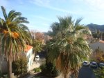 Collioure, 3 pieces